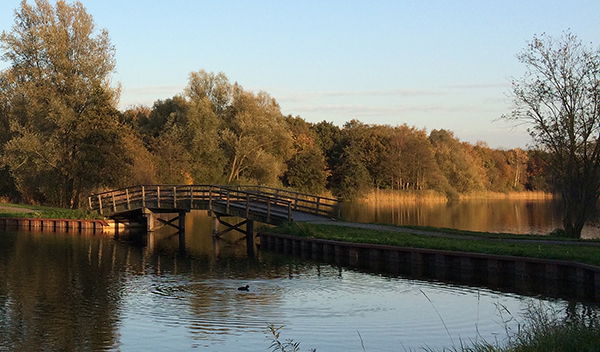 Berendonck, Wijchen